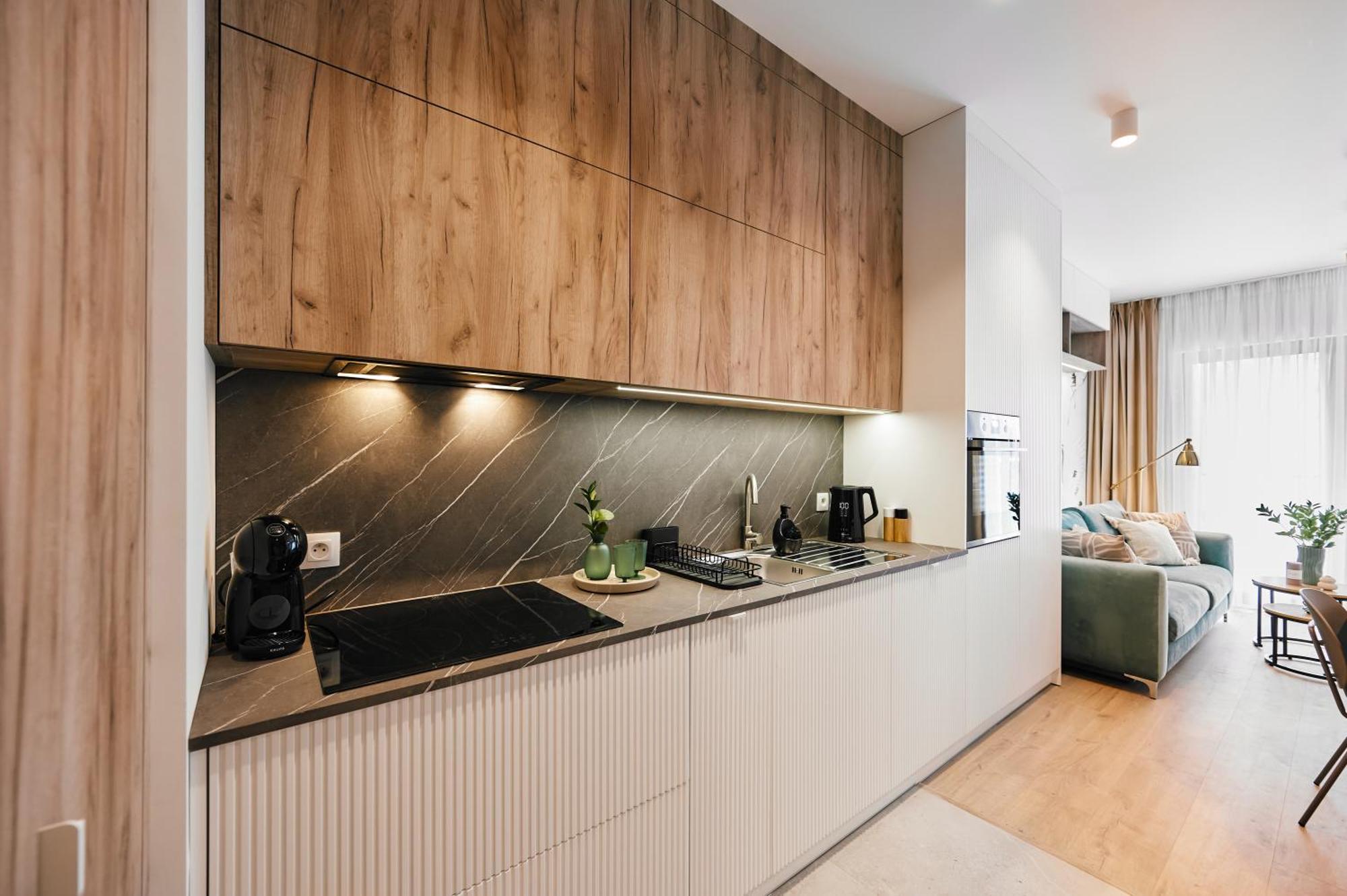 Golden Dreams Luxury Apartments 21 克拉科夫 外观 照片